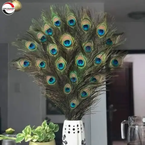 Cách Cắm Lông Công Phong Thủy