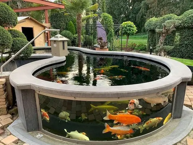 Cách Đặt Bể Cá Phong Thủy