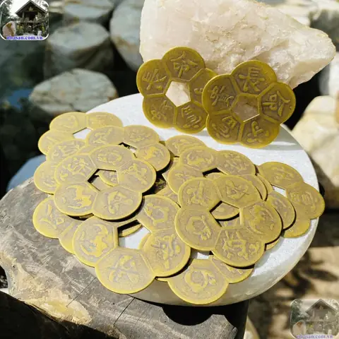 Cách Đặt Đồng Tiền Hoa Mai Phong Thủy