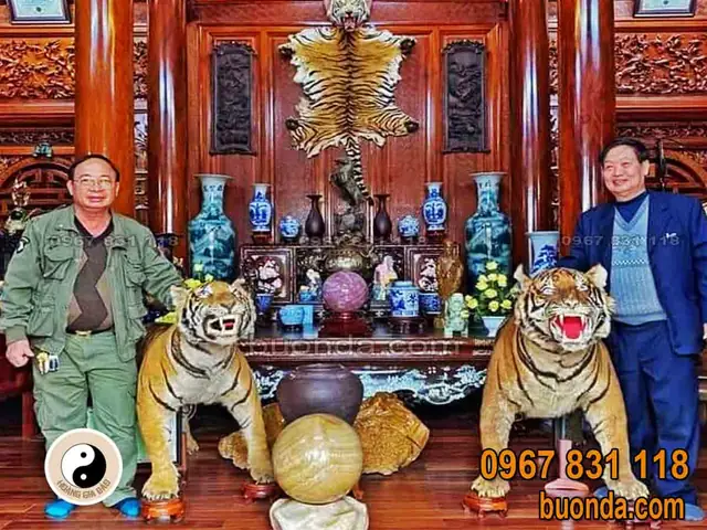 Cách Đặt Quả Cầu Phong Thủy Trong Nhà