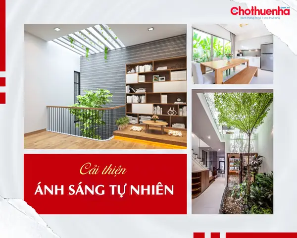Cách Tạo Phong Thủy Trong Nhà