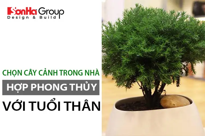 Cây Cảnh Phong Thủy Tuổi Thân
