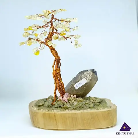Cây Đá Quý Tài Lộc Phong Thủy
