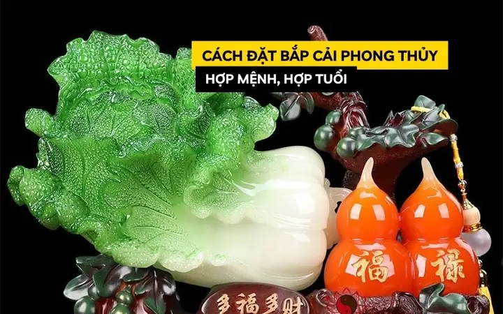 Cây Phong Thủy Cho Từng Tuổi