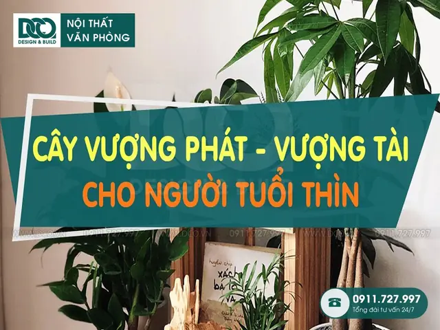 Cây Phong Thủy Cho Tuổi Thìn