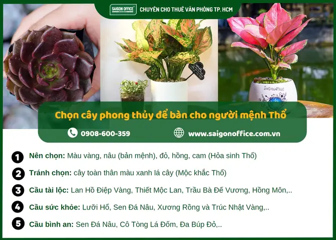 Cây Phong Thủy Để Bàn Cho Người Mệnh Thổ