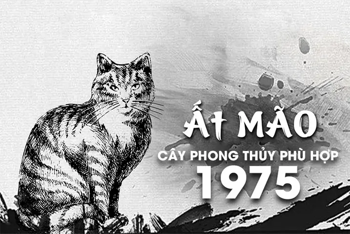Cây Phong Thủy Hợp Tuổi Ất Mão 1975