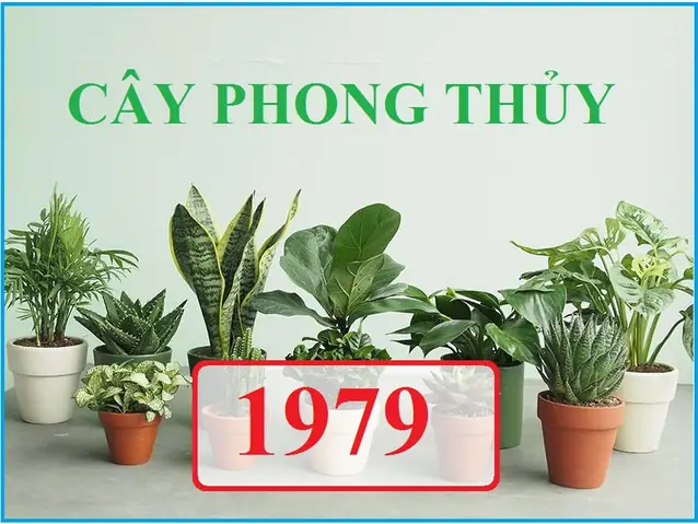 Cây Phong Thủy Hợp Tuổi Mùi 1979