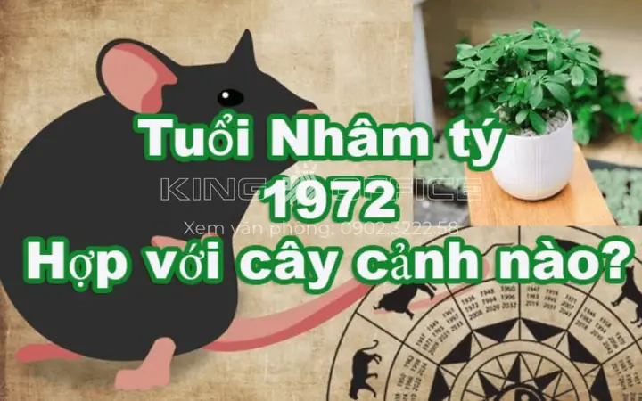 Cây Phong Thủy Hợp Tuổi Nhâm Tý 1972