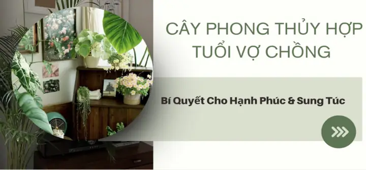 Cây Phong Thủy Hợp Tuổi Vợ Chồng