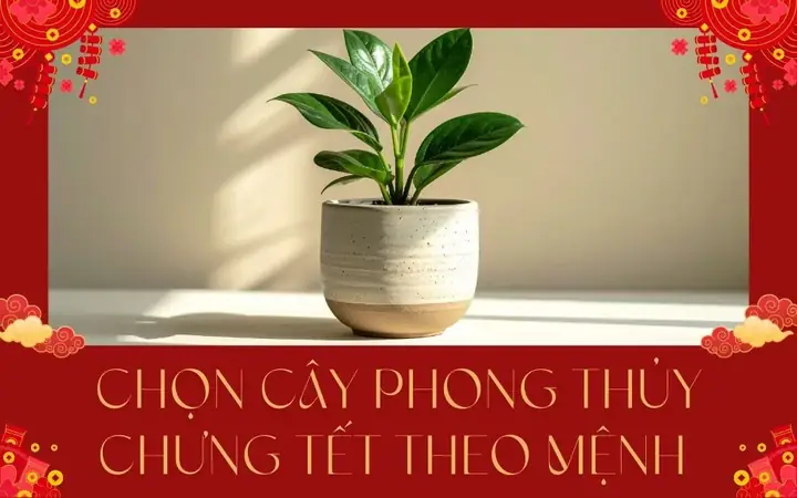 Cây Phong Thủy Theo Mệnh Mộc