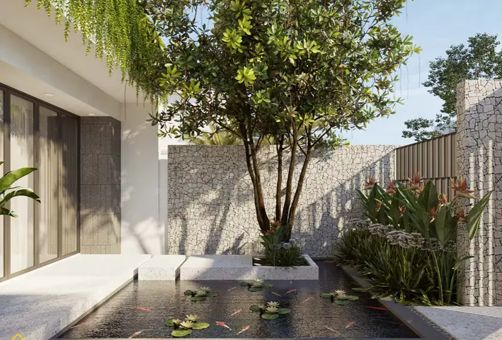 Cây Phong Thủy Trước Sân Nhà