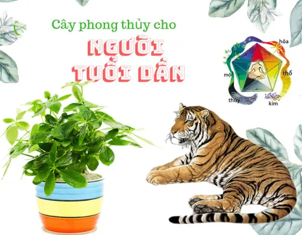 Cây Phong Thủy Tuổi Dần 1962