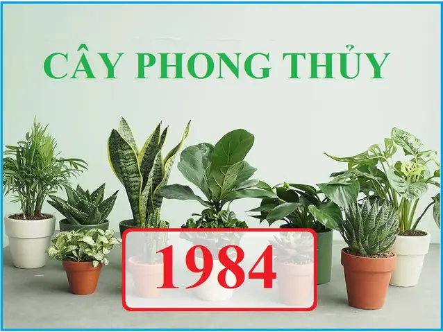 Cây Phong Thủy Tuổi Giáp Tý