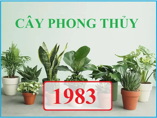 Cây Phong Thủy Tuổi Quý Hợi 1983