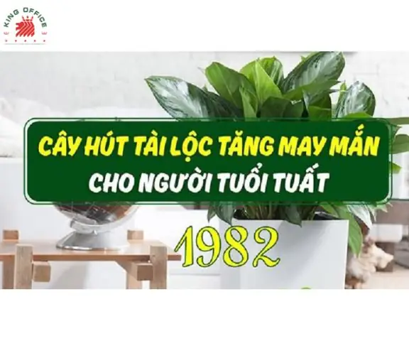 Cây Phong Thủy Tuổi Tuất 1982