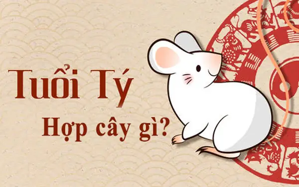 Cây Phong Thủy Tuổi Tý 1972