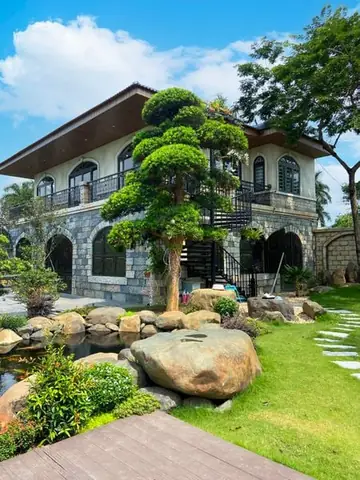 Cây Tùng La Hán Trong Phong Thủy