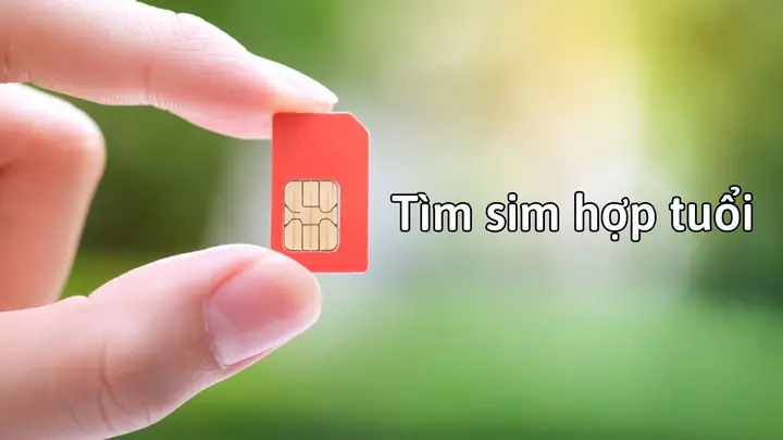 Chọn Số Điện Thoại Hợp Tuổi Theo Phong Thủy