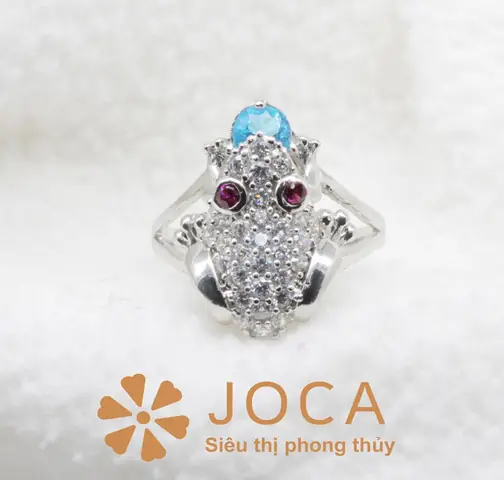 Con Cóc Phong Thủy Có Ý Nghĩa Gì