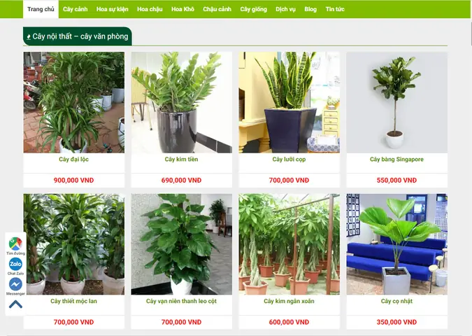 Cửa Hàng Bán Cây Phong Thủy