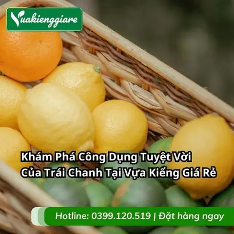 Cửa Hàng Chanh Vàng Giá Rẻ