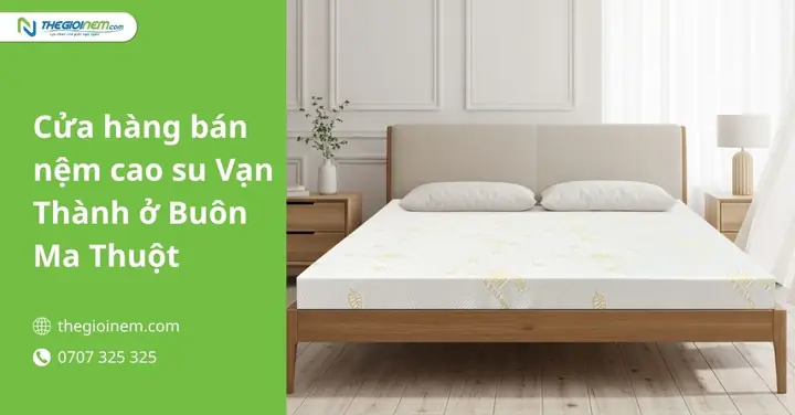 Cửa Hàng Phong Thủy Tại Buôn Ma Thuột
