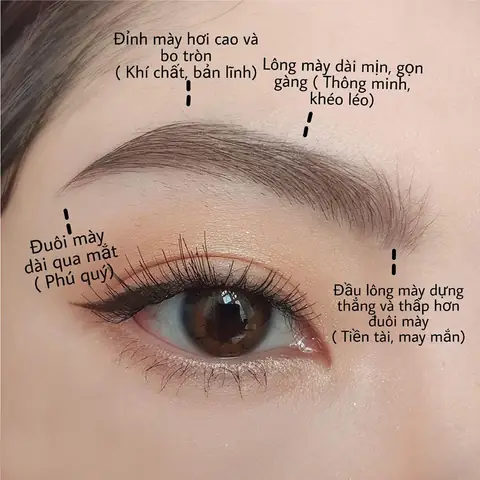 Dáng Lông Mày Đẹp Phong Thủy Dáng Lông Mày Đẹp Phong Thủy