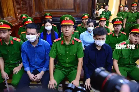 Đánh Giá Công Ty Du Lịch Sen Vàng