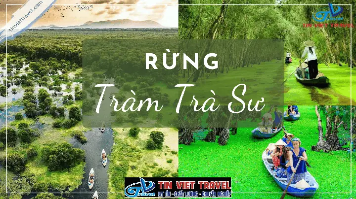 Đánh Giá Đa Dạng Di Truyền Trà Hoa Vàng