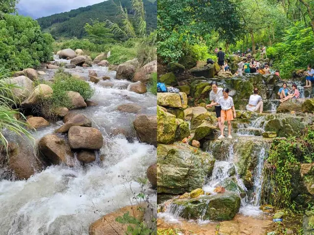Giá Cá Chỉ Vàng Khô Ở Hải Phòng