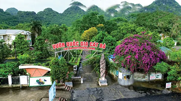 Giá Đổi Của Tiệm Vàng Quốc Trinh Ngày Hôm Nay