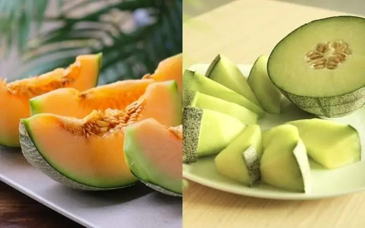 Giá Dưa Lưới Vàng Hiện Nay