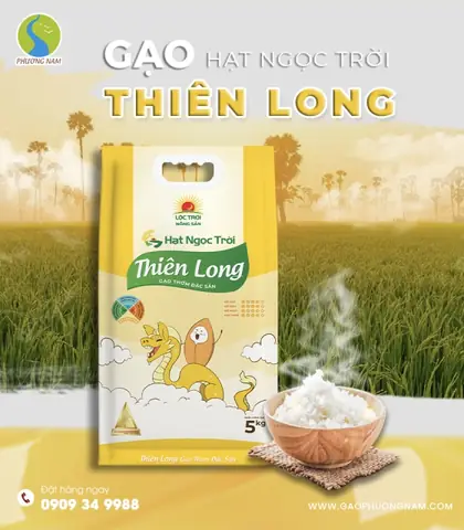 Giá Hạt Điều Rồng Vàng Phương Nam