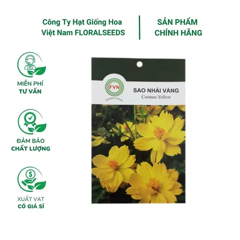 Giá Hạt Hoa Cosmos Hoa Vàng