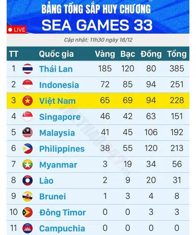 Giá Trị 1 Huy Chương Vàng Tại Segame 30