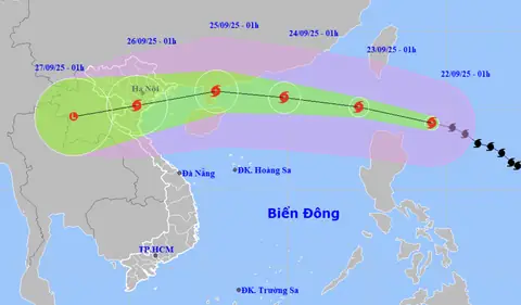 Giá Vàng Hôm Nay 21 8 2017