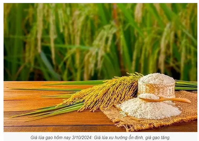 Giá Vàng Hôm Nay Bê N Tre