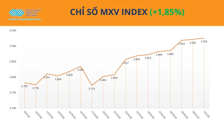 Giá Vàng Hôm Nay Tại Ninh Hòa 27 11 2019