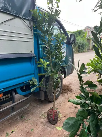 Giá Vàng Huyện Tân Lạc