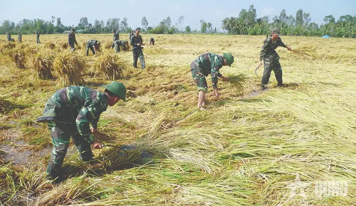 Giá Vàng Huyện Vị Thuỷ Tỉnh Hậu Giang