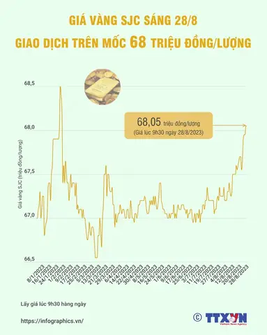 Giá Vàng Ngày 28 Tháng 11 Năm 2023