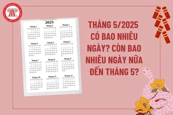 Giá Vàng Ngày Mùng 9 Tháng 3 Năm 2020