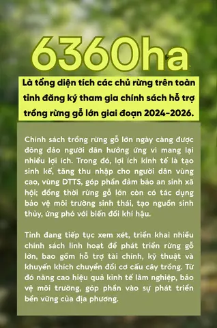 Giá Vàng Tăng Trung Bình Mỗi Năm