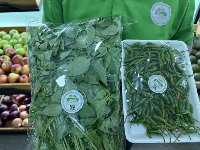 Giá Vàng Tây Ở Hà Trung Hà Nội