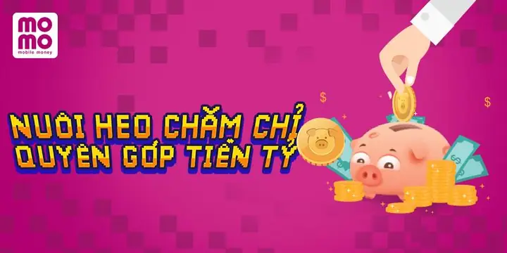 Heo Vàng Momo Giá Bao Nhiêu