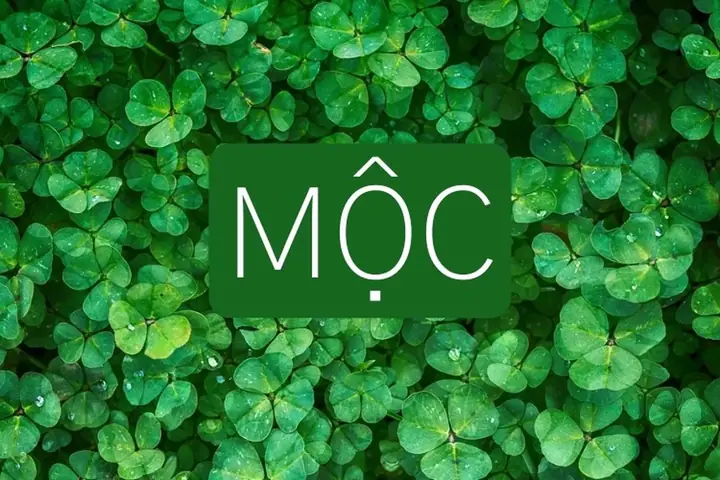 Hình Nền Phong Thủy Mệnh Mộc Hình Nền Phong Thủy Mệnh Mộc