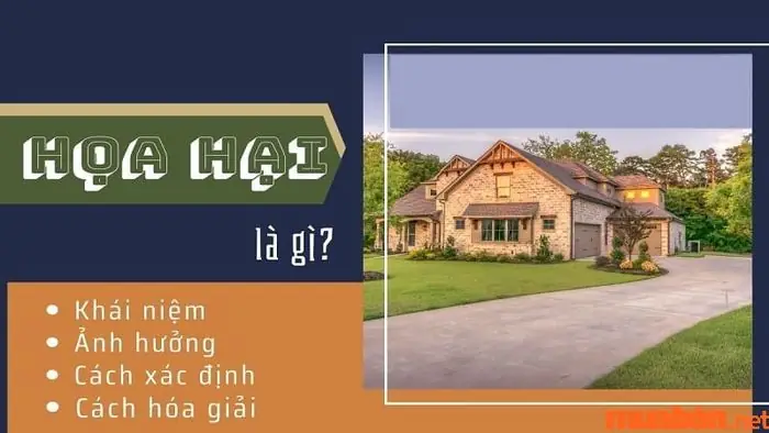 Họa Hại Trong Phong Thủy Là Gì