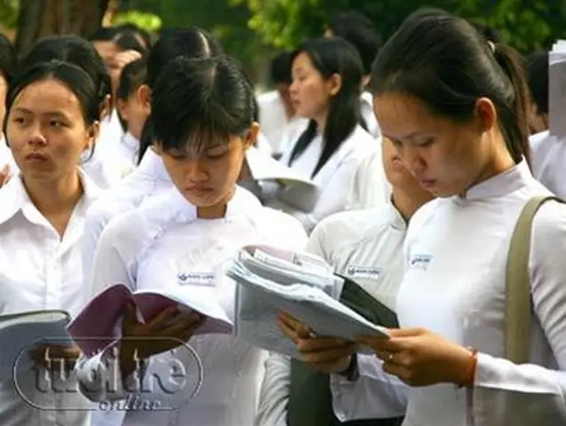 Hoa Tàn Nhụy Rữa Giá Đôi Lạng Vàng