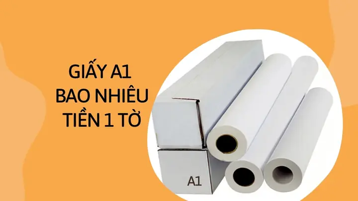 Hộp Kho Báu Phong Thủy Mua Ở Đâu